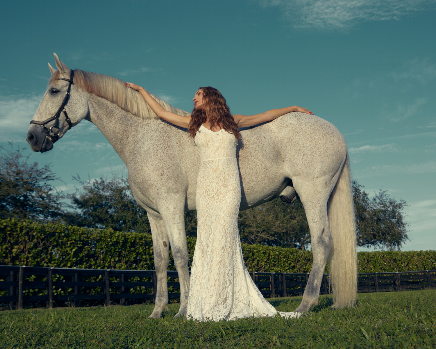 ANDRES HERDANDEZ PHOTOGRAPHER (7)